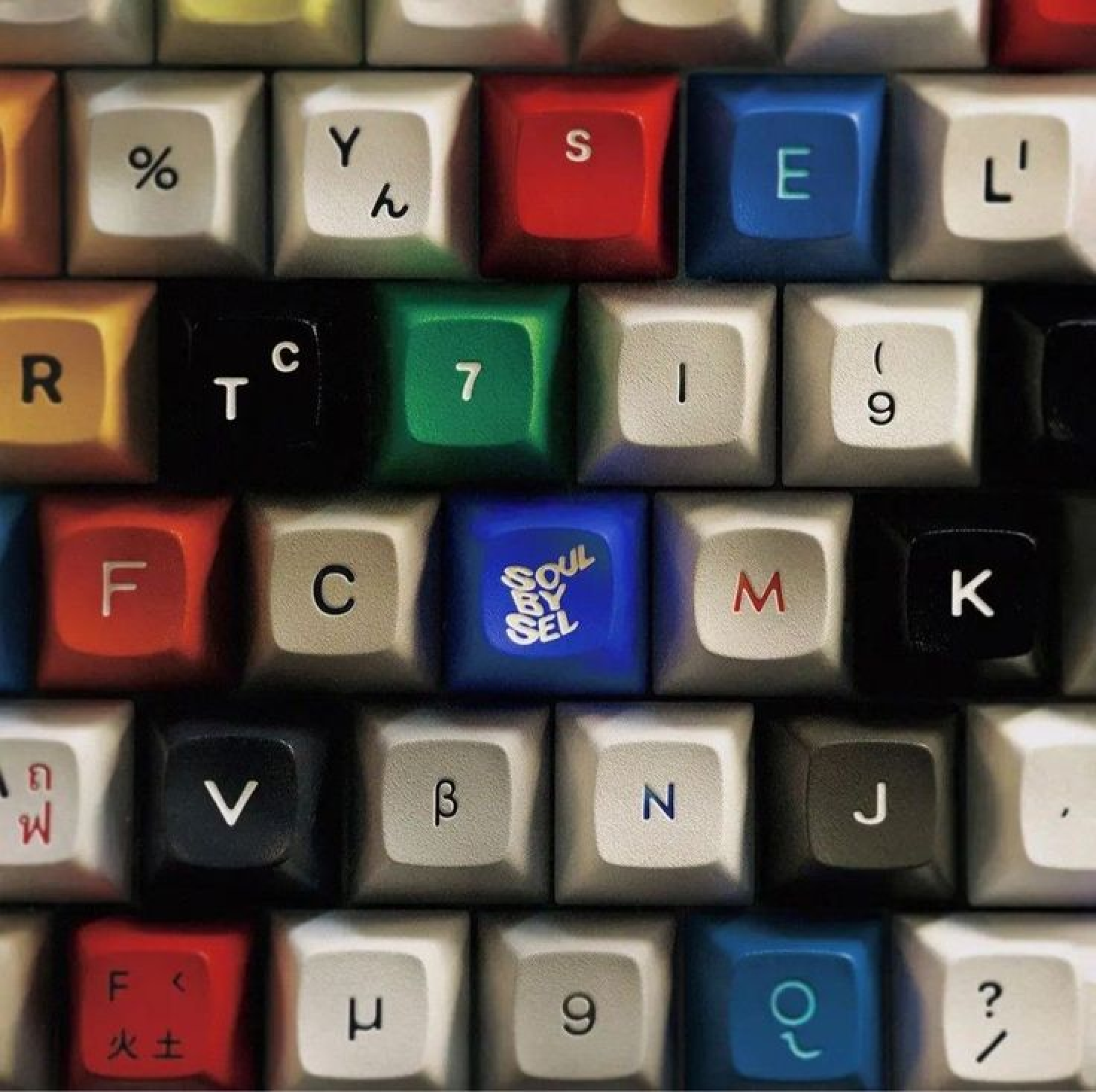 Membras colaborando em trilhas de aprendizado